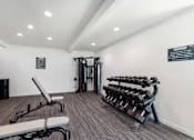 Thumbnail 22 of 37 - A gym with a variety of equipment including a bench, weights, and a barbell.