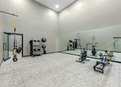 Thumbnail 24 of 36 - A well-equipped gym with a variety of exercise machines and equipment.
