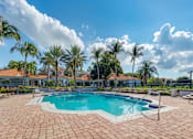 Thumbnail 8 of 28 - A pool surrounded by palm trees