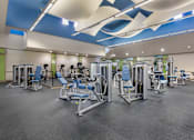 Thumbnail 17 of 28 - A gym with a variety of exercise equipment for cardio and weight lifting
