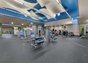 Thumbnail 18 of 28 - A gym with a variety of machines and excercise equipment for cardio and weightlifting