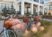 Thumbnail 33 of 37 - Clubhouse outdoor at Wharf 7 Apartments, Charleston