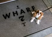 Thumbnail 30 of 37 - Pet friendly community at Wharf 7 Apartments, Charleston, SC, 29492