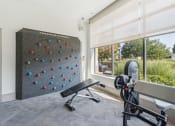 Thumbnail 19 of 34 - a home gym with a wall graphic of an exercise ball at The Merc, Waltham