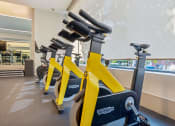 Thumbnail 20 of 34 - a row of yellow exercise bikes in a gym at The Merc, Massachusetts, 02453