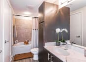 Thumbnail 7 of 36 - bathroom with espresso cabinets, white countertops and bath shower combo at Paramount on Lake Eola, Florida