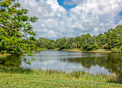 Thumbnail 41 of 41 - Lake views at Floresta apartments in Jupiter, FL