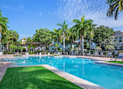Thumbnail 20 of 41 - A large swimming pool surrounded by palm trees and lounge chairs at Floresta apartments in Jupiter, FL