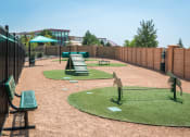 Thumbnail 27 of 36 - a dog park with agility equipment at Estate at Woodmen Ridge, Colorado