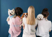 Thumbnail 48 of 48 - four women with dogs standing in front of a blue wallat The Falls of Portofino, Naples, 34119