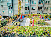 Thumbnail 25 of 72 - A patio with red umbrellas and a table surrounded by green plants.