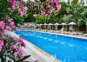 Thumbnail 9 of 15 - A pool surrounded by trees and umbrellas.
