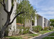 Thumbnail 15 of 20 - A tree with green leaves hangs over a sidewalk in front of apartment buildings.