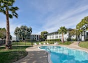 Thumbnail 18 of 20 - A swimming pool surrounded by palm trees and a building in the background.