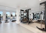 Thumbnail 14 of 21 - a workout room with weights and cardio equipment in a home gym