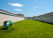 Thumbnail 8 of 11 - Dog Park Lawn