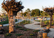 Thumbnail 22 of 24 - a garden with trees and a path in a park