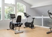 Thumbnail 13 of 24 - a gym with exercise equipment in a home gym