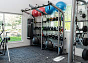 Thumbnail 11 of 24 - a gym with weights and cardio equipment and a window