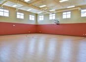 Thumbnail 16 of 24 - Indoor Basketball Court with Hoops