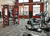 Thumbnail 19 of 30 - A gym with a variety of equipment including treadmills, weight racks, and exercise balls.