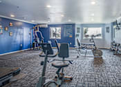 Thumbnail 7 of 18 - a gym with exercise equipment in a room with blue walls