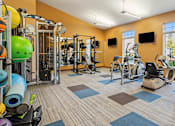 Thumbnail 10 of 27 - A gym with a variety of equipment including treadmills, weights, and exercise machines.