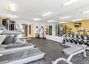 Thumbnail 15 of 31 - A gym with treadmills, weights, and exercise equipment.