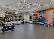 Thumbnail 6 of 28 - a gym with weights and exercise equipment and a colorful wall