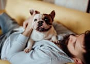 Thumbnail 6 of 28 - Pet Friendly apartments for your furry friends