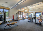 Thumbnail 11 of 20 - a large fitness room with exercise equipment and windows