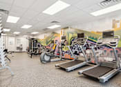 Thumbnail 27 of 40 - a gym with cardio equipment and a wall with graffiti