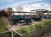 Thumbnail 20 of 27 - Outdoor community patio with potted plants and lounge furniture