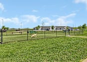 Thumbnail 23 of 24 - a dog running through a fenced in area in a park