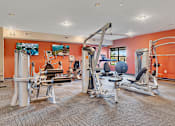 Thumbnail 8 of 24 - a gym with cardio equipment and weights on the floor