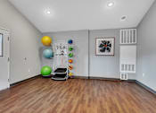 Thumbnail 13 of 24 - a workout room with a treadmill and spheres on the wall