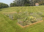 Thumbnail 26 of 34 - Beautiful Community Garden surrounded with lush green grass.