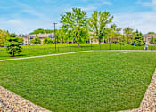 Thumbnail 22 of 29 - Green Grass in Dog Park
