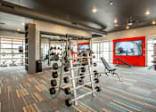 Thumbnail 28 of 42 - Barbell rack and strength machines in fitness center