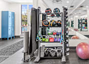 Thumbnail 18 of 29 - a gym with weights and a yoga ball on the floor