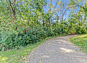 Thumbnail 27 of 29 - a dirt path in a park with trees
