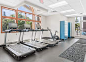 Thumbnail 16 of 29 - four treadmills in a gym with windows and exercise equipment
