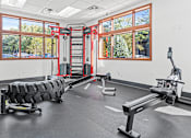 Thumbnail 15 of 29 - the exercise room at the house