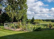 Thumbnail 21 of 24 - Outdoor community garden with wire fence and overflowing plant life