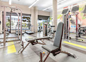 Thumbnail 25 of 40 - a gym with weights and cardio equipment in a building with a mural