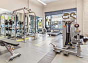 Thumbnail 28 of 40 - a gym with weights and cardio equipment at the monarch apartments in midtown