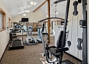 Thumbnail 11 of 17 - a gym with cardio machines and weights on the floor