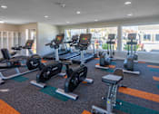 Thumbnail 16 of 29 - A gym with treadmills, stationary bikes, and dumbbells.