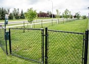 Thumbnail 12 of 15 - Gated Dog Park