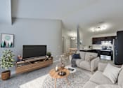 Thumbnail 1 of 18 - Living Room and TV